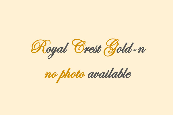 Royal Crest Gold-n No Way Juan Carlo