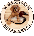 Royal Crest Gold-n - Dual Purpose Golden Retrievers